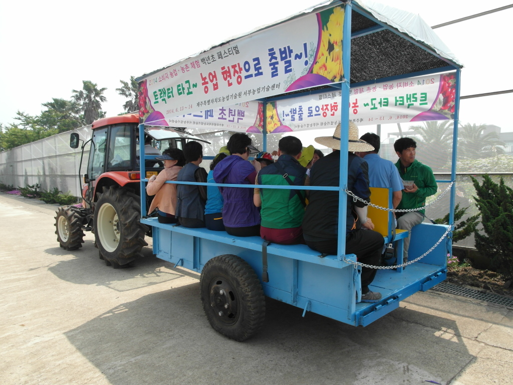 소비자 농업농촌 체험 백년초 페스티벌 - 농업 체험